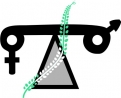 samyak logo small